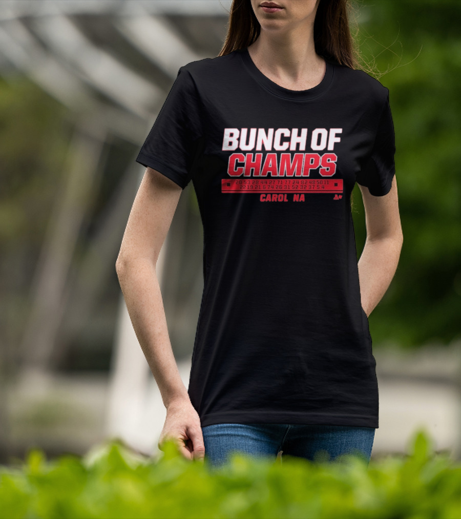 Bunch Of Champs Carolina Hockey Numbers Series T-Shirt