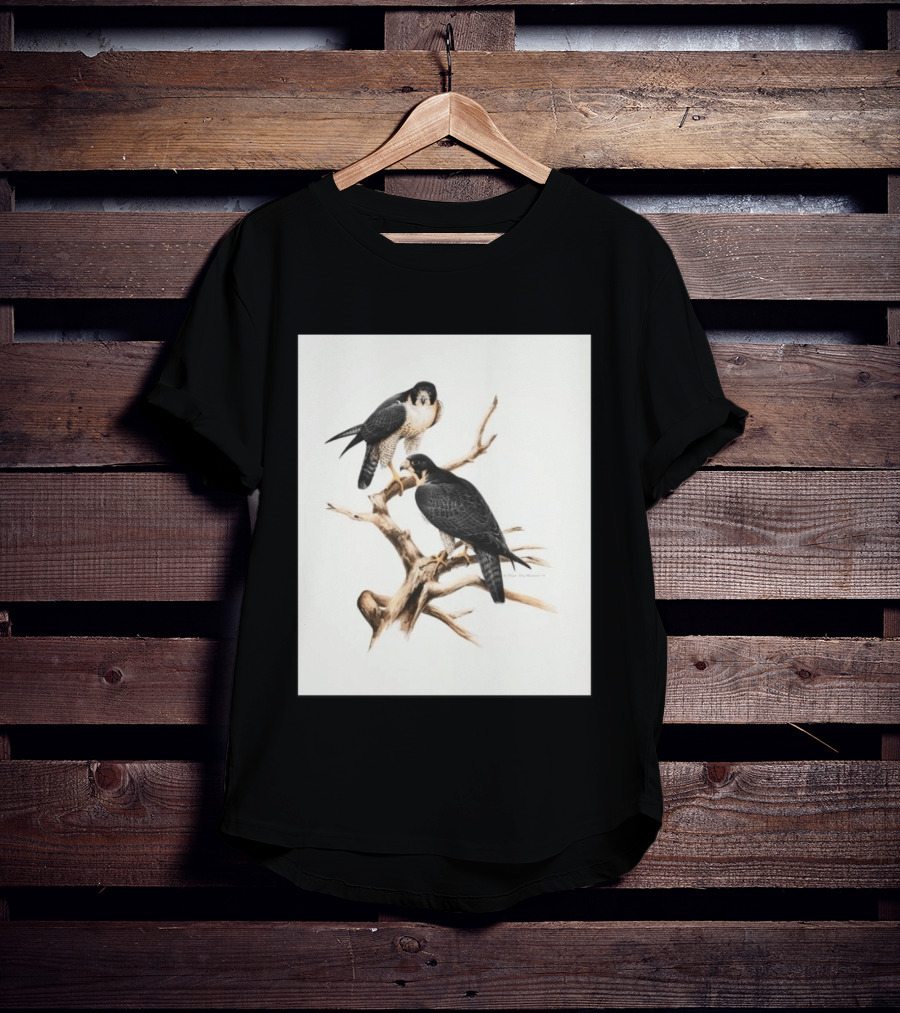 Roger Tory Peterson Peregrines 2026 Adult Ash Bird T-Shirt
