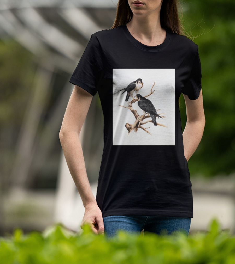 Roger Tory Peterson Peregrines 2026 Adult Ash Bird T-Shirt
