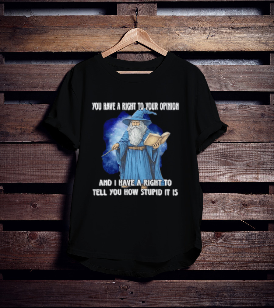 Wizard You Have A Right To Your Opinion And I Have A Right To Tell You How Stupid It Is T-Shirt