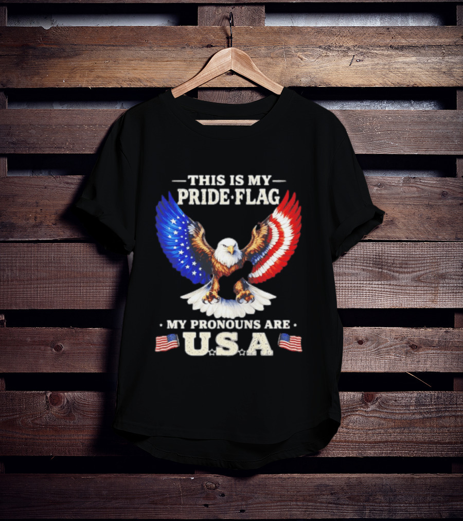 This Is My Pride Flag American Eagle My Pronouns Are USA T-Shirt