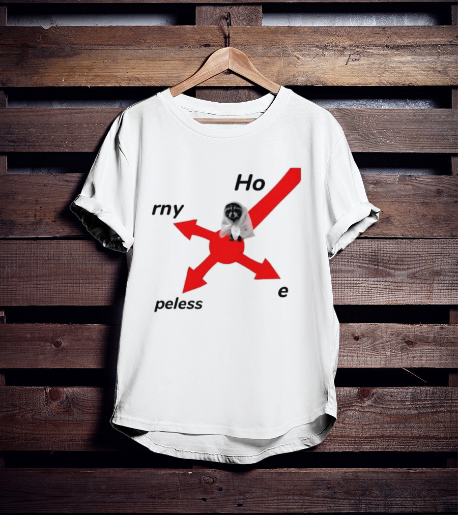 Raccoon Meme Ho Rny Peless Compass T-Shirt