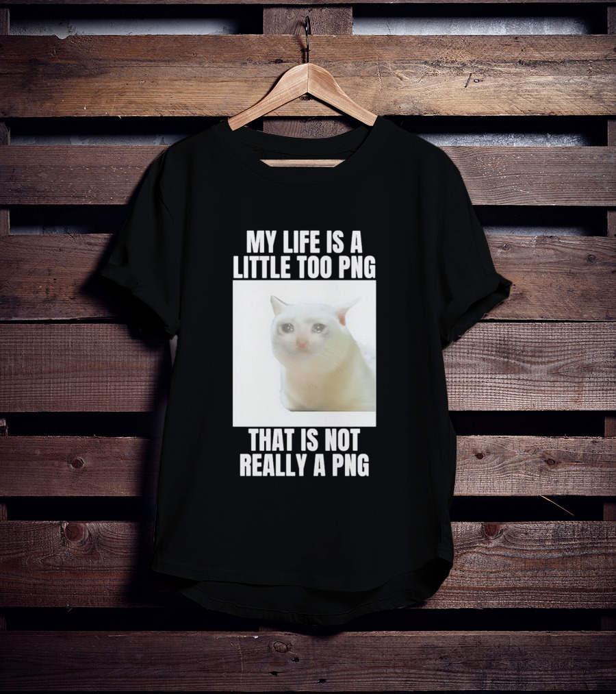 My Life Is A Little Too PNG That Is Not Really A PNG Cat Meme T-Shirt