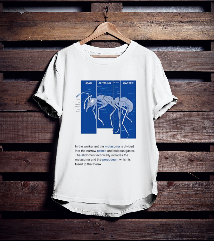 Worker Ant Diagram Head Alitrunk Gaster Metasoma Petiole Biology T-Shirt