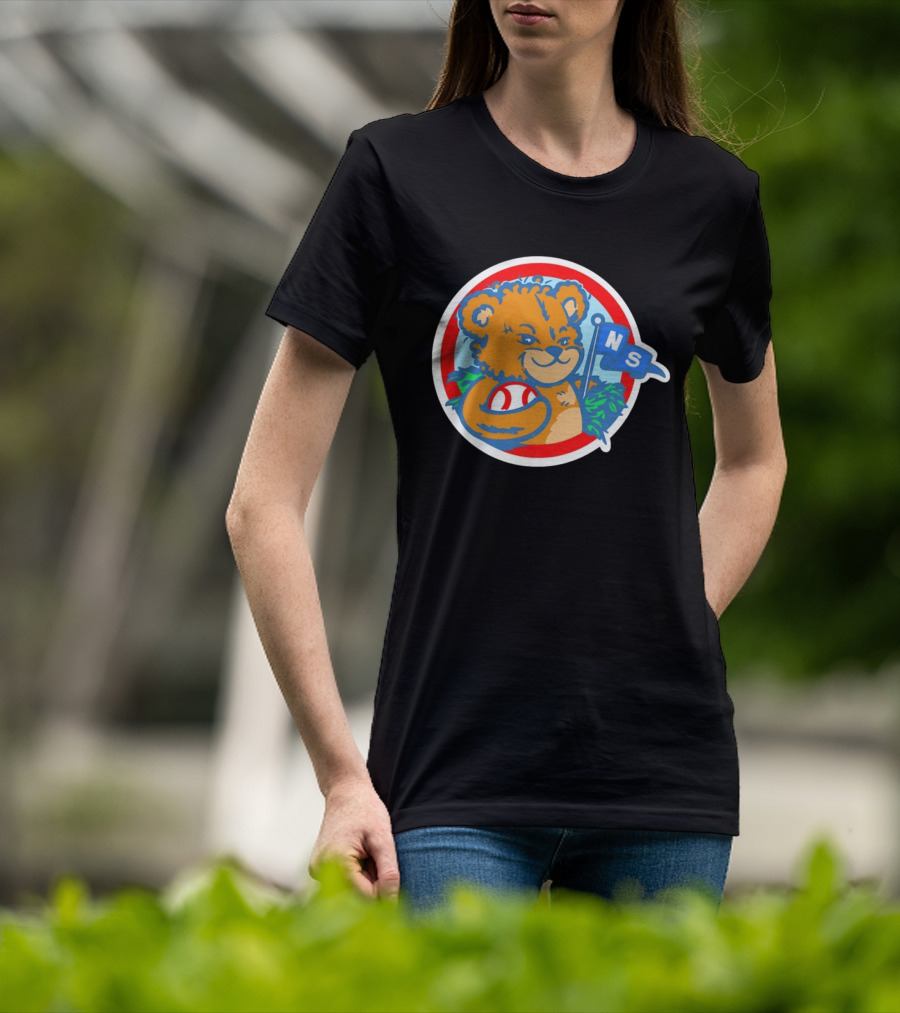 Teddy Bear Holding Baseball NS Pennant Circle T-Shirt