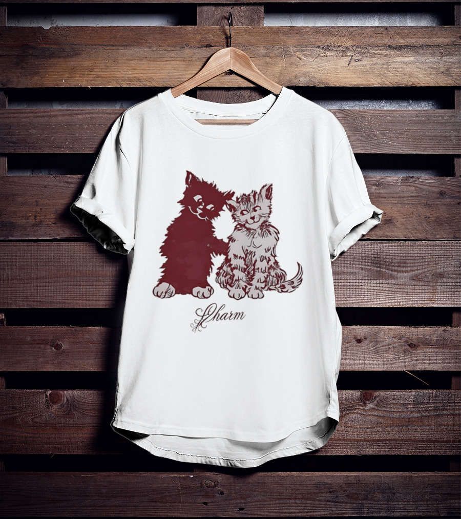 Charm Kittens Cats Hugging T-Shirt