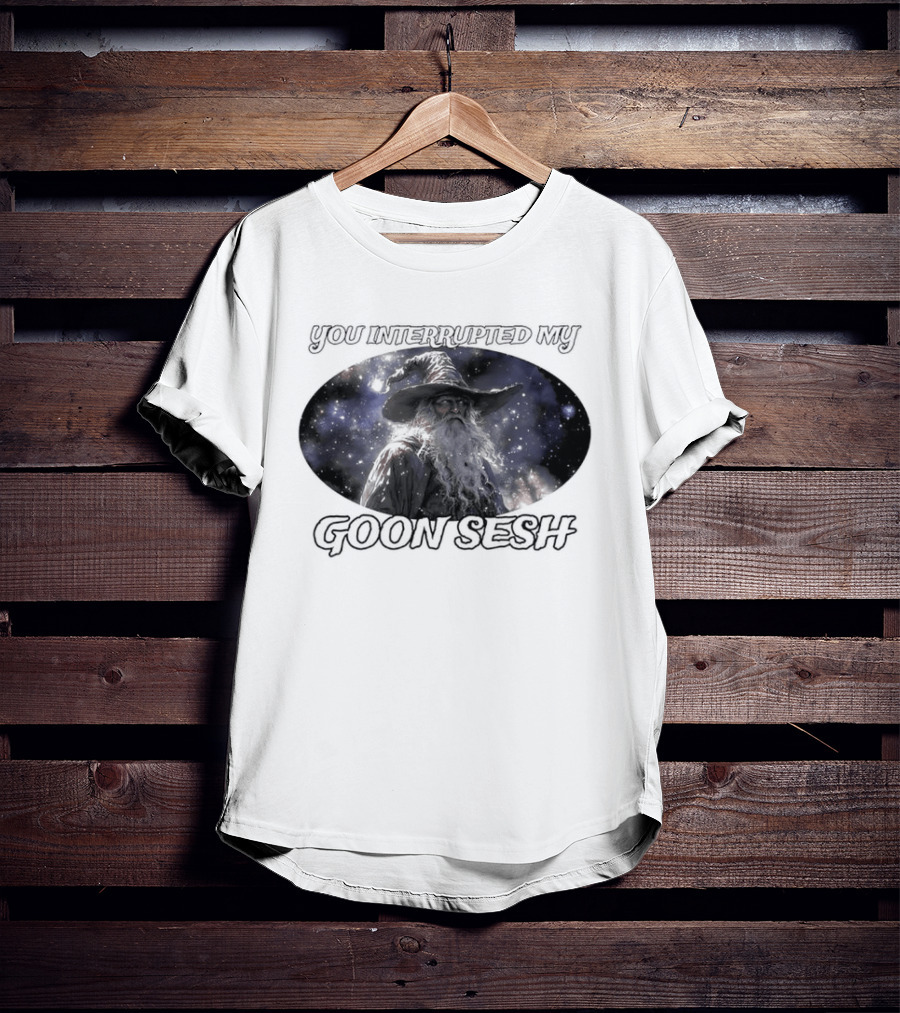 You Interrupted My Goon Sesh Wizard T-Shirt