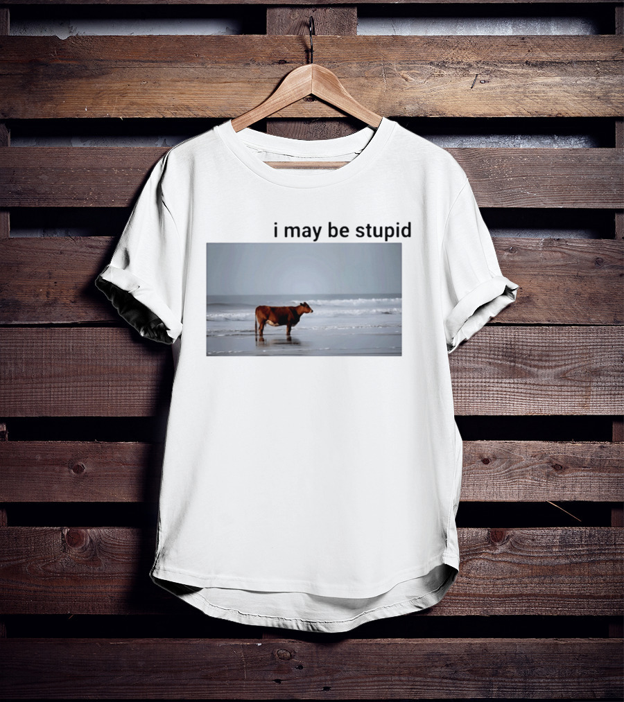 I May Be Stupid Cow At The Beach T-Shirt
