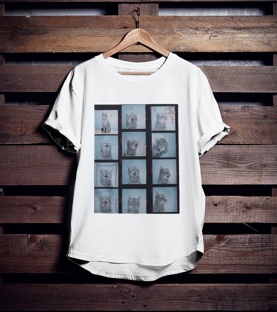 Tabby Cat Film Strip Series With Numbered Frames And Annotations T-Shirt