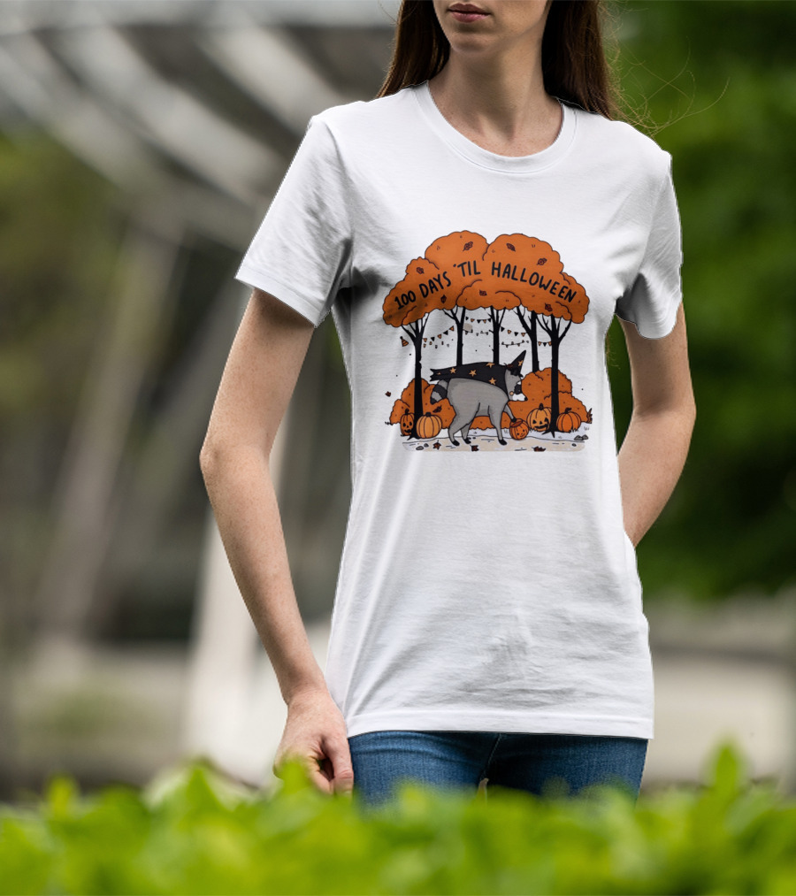 100 Days 'til Halloween Raccoon Wizard Costume In Pumpkin Patch Forest T-Shirt