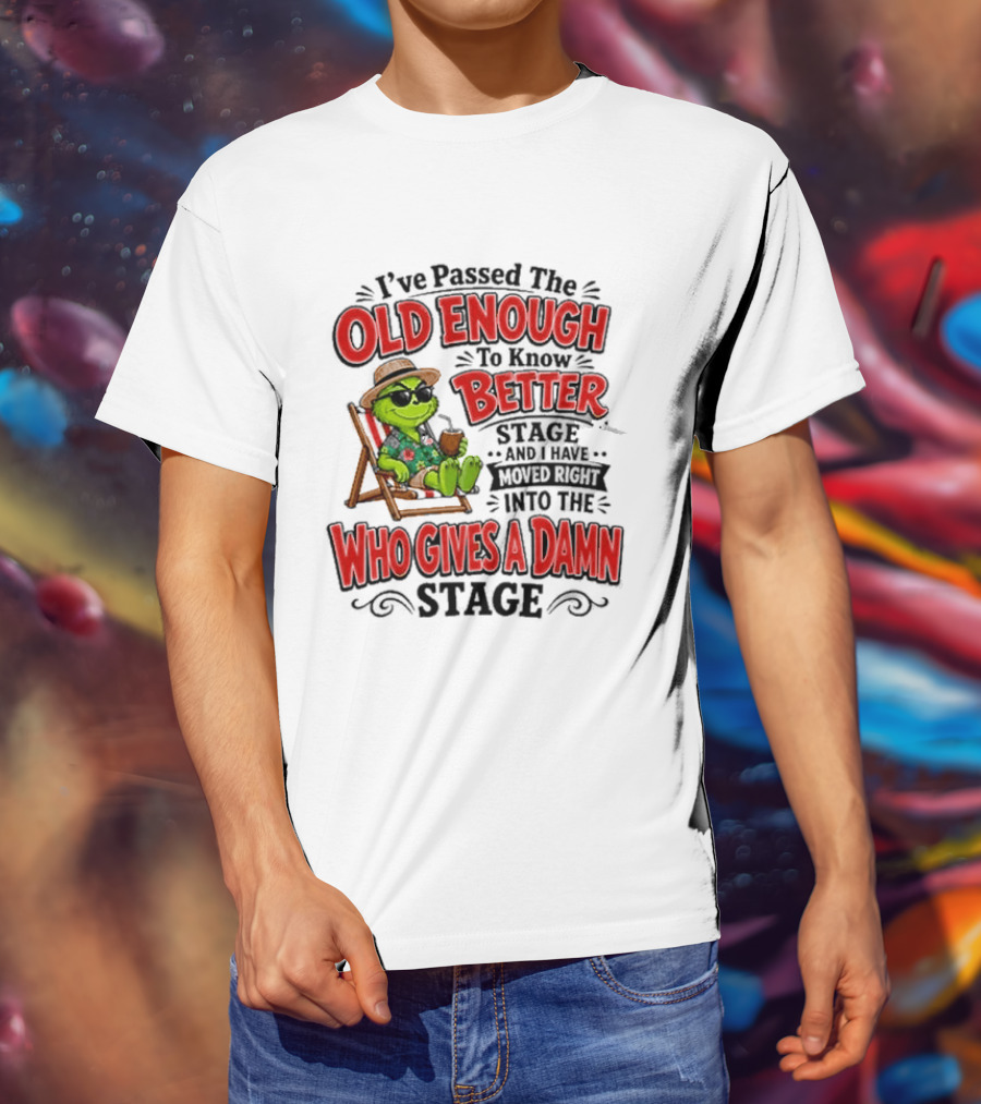 I've Passed Into The Grinch Old Enough To Know Better Who Gives A Damn Stage T-Shirt