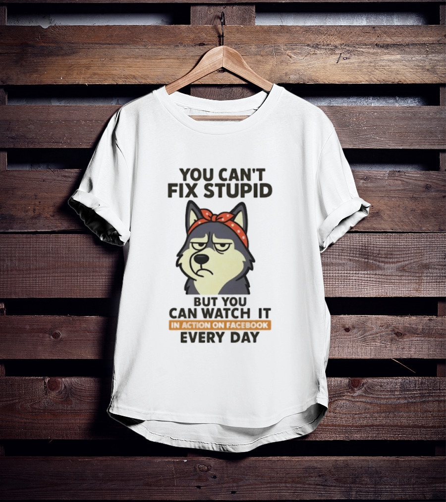 You Can't Fix Stupid But You Can It Every Day Husky T-Shirt