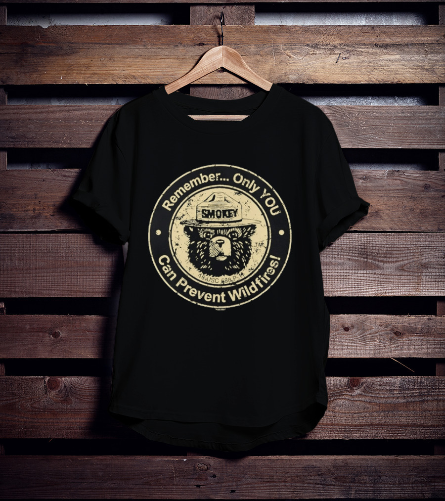 Remember Only You Can Prevent Wildfires Distressed Smokey Bear 16 USC 580p 11 T-Shirt