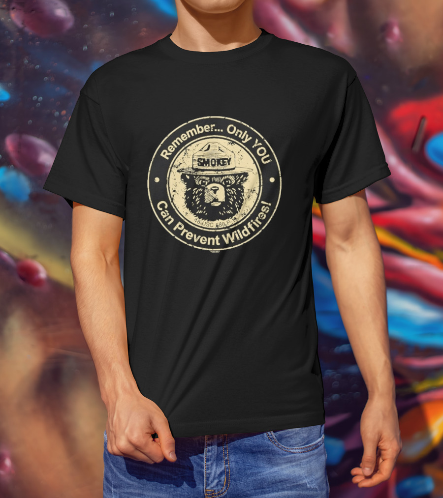 Remember Only You Can Prevent Wildfires Distressed Smokey Bear 16 USC 580p 11 T-Shirt
