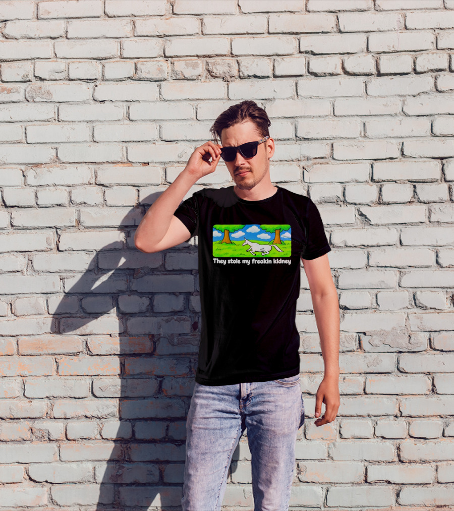 They Stole My Freakin Kidney Unicorn Cartoon Scene T-Shirt