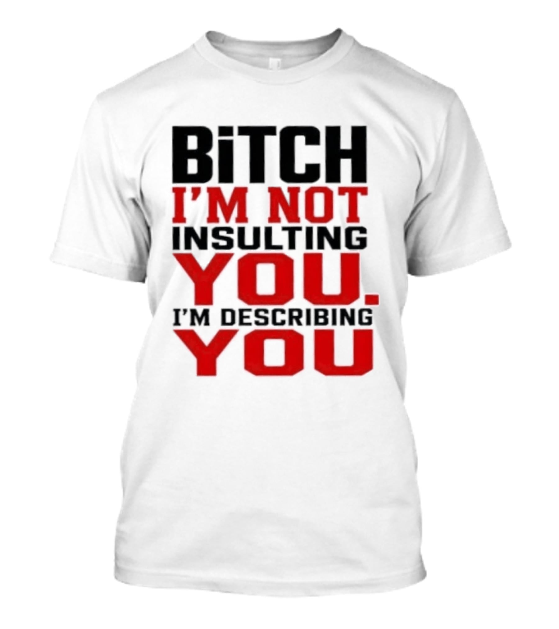 Bitch I'm Not Insulting You I'm Describing You T-Shirt