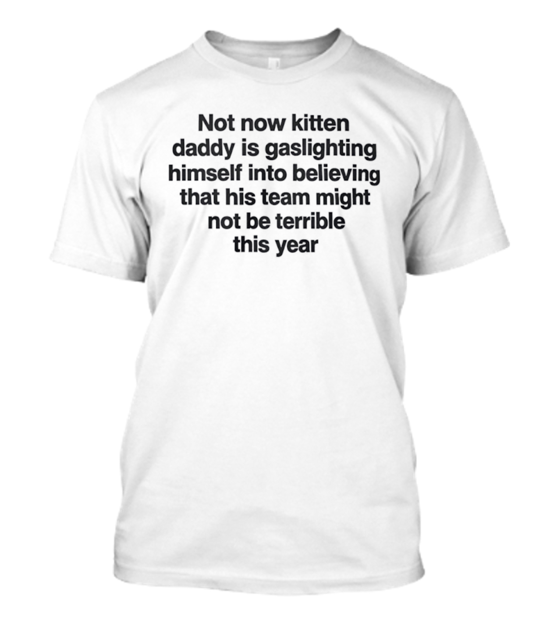 Not Now Kitten Daddy Is Gaslighting Himself Into Believing That His Team Might Not Be Terrible This Year T-Shirt