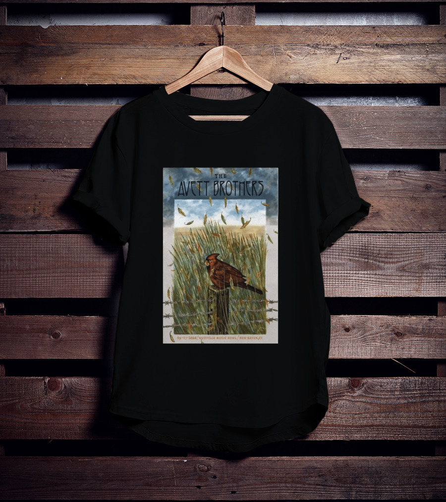 The Avett Brothers Westville Music Bowl New Haven CT Sep 17 2026 Cardinal In Field T-Shirt