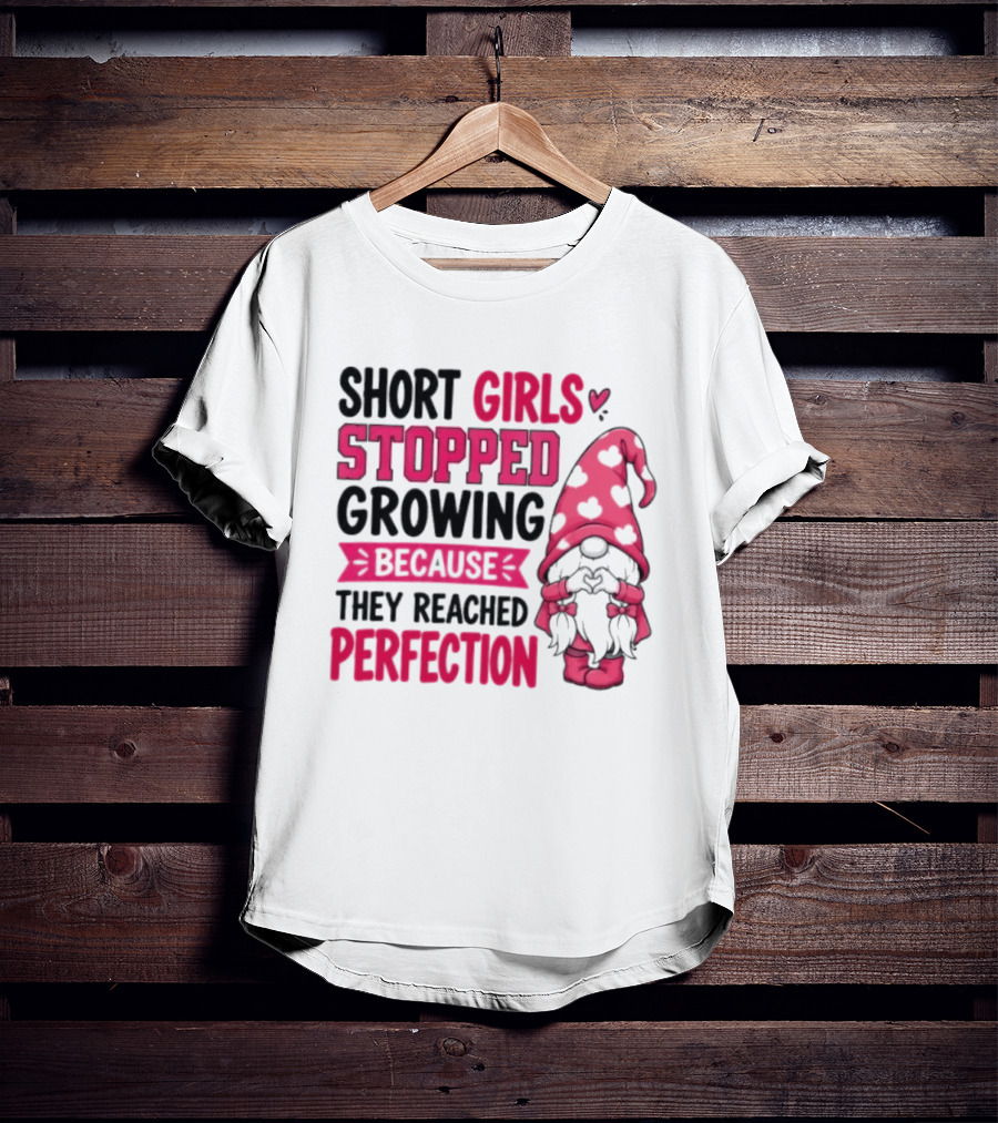 Short Girls Stopped Growing Because They Reached Perfection Gnome Heart Hat T-Shirt