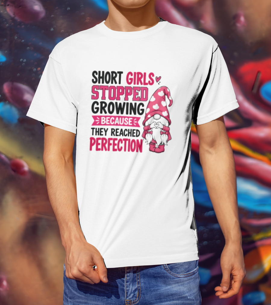 Short Girls Stopped Growing Because They Reached Perfection Gnome Heart Hat T-Shirt