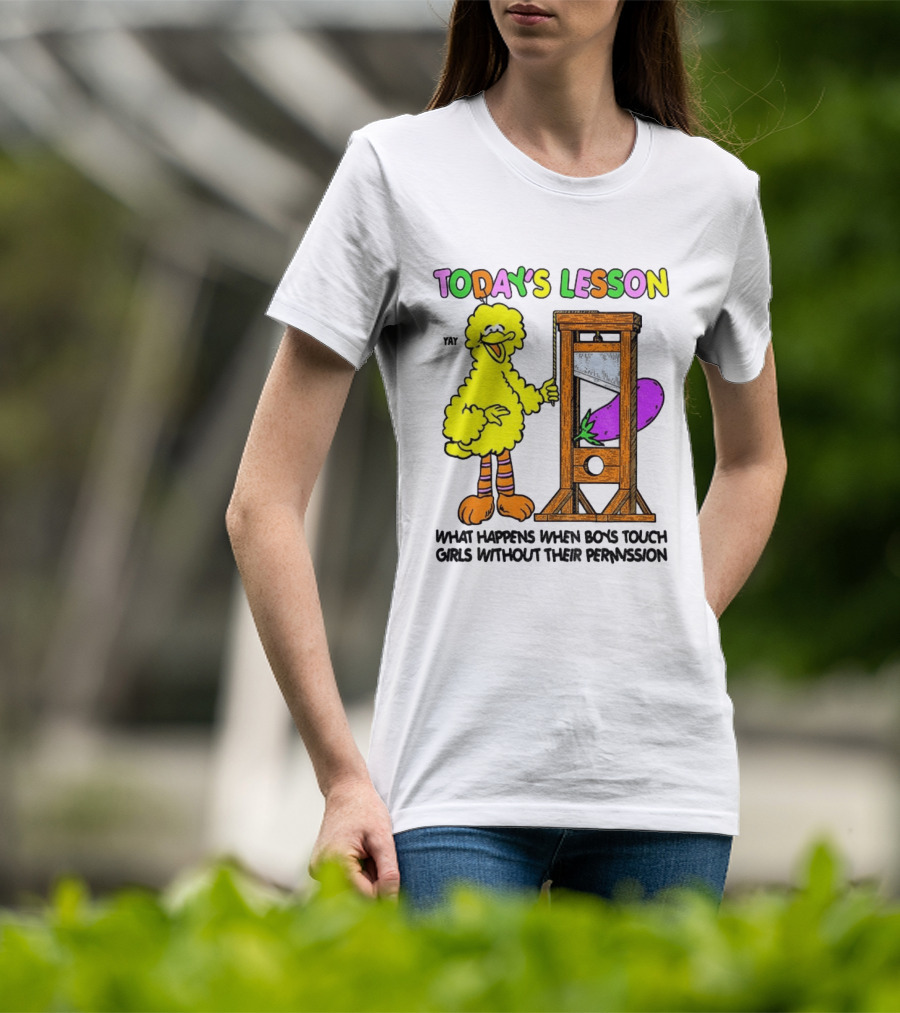 Today's Lesson What Happens When Boys Touch Girls Without Their Permission Big Bird And Guillotine T-Shirt