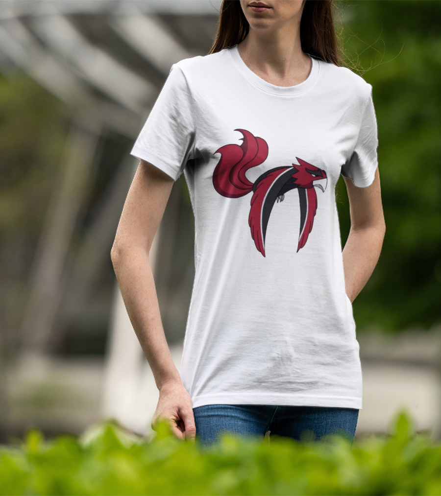 Atlanta Falcons Pokemon Mashup Bird T-Shirt