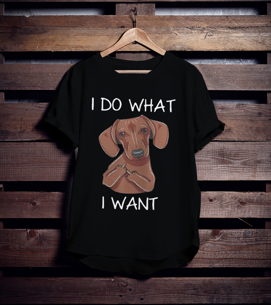 Dachshund I Do What I Want Funny Dachshund I Want T-Shirt
