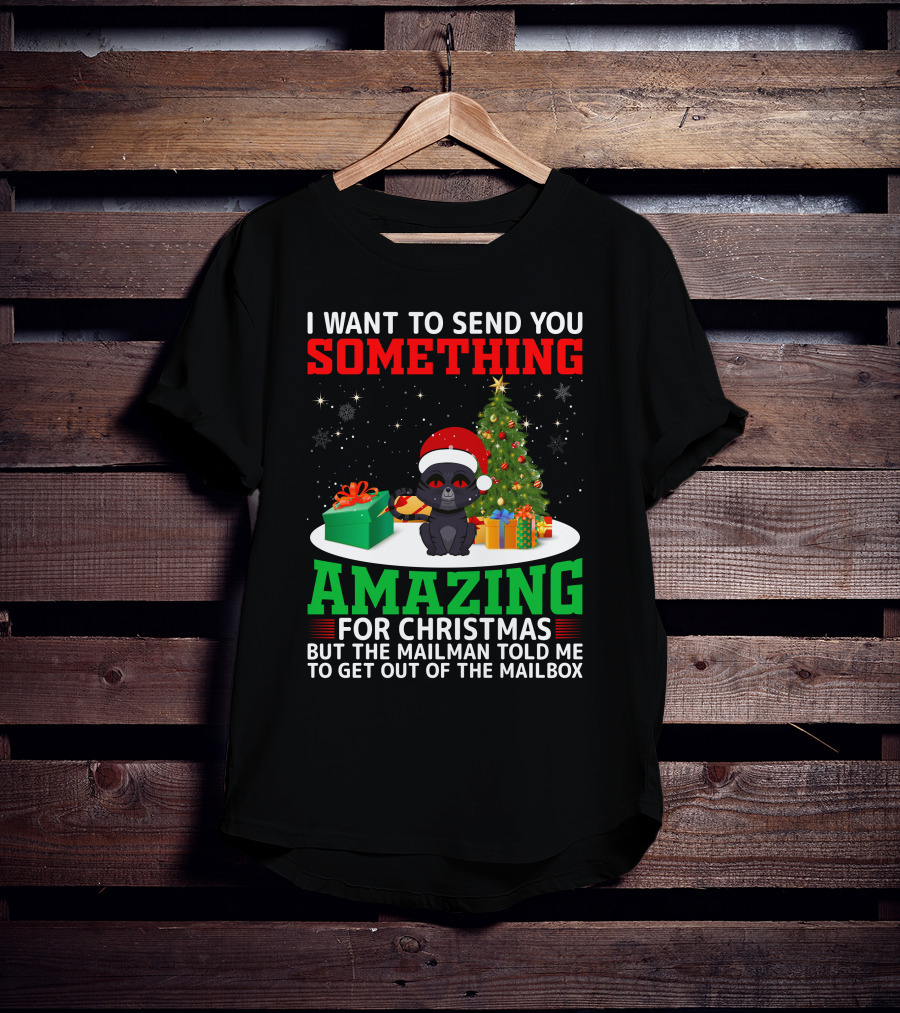 I Want To Send You Something Amazing For Christmas But The Mailman Told Me To Get Out Of The Mailbox T-Shirt