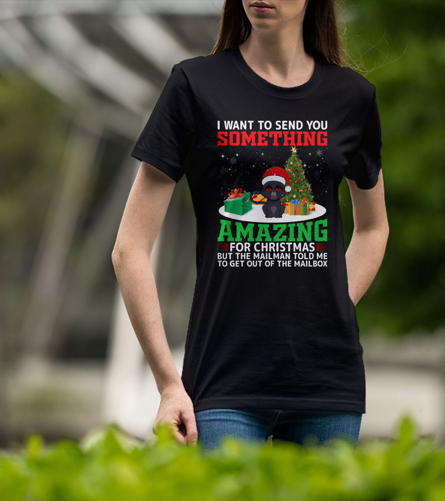 I Want To Send You Something Amazing For Christmas But The Mailman Told Me To Get Out Of The Mailbox T-Shirt