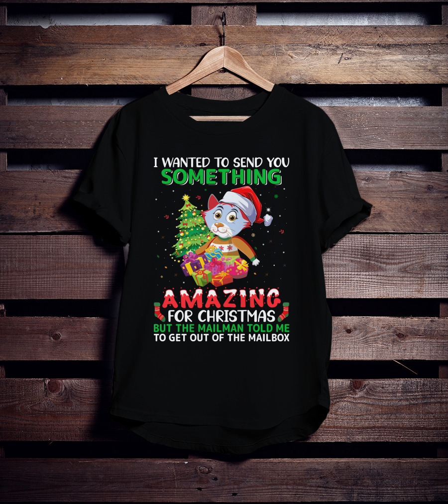 I Wanted To Send You Something Amazing For Christmas But The Mailman Told Me To Get Out Of The Mailbox T-Shirt