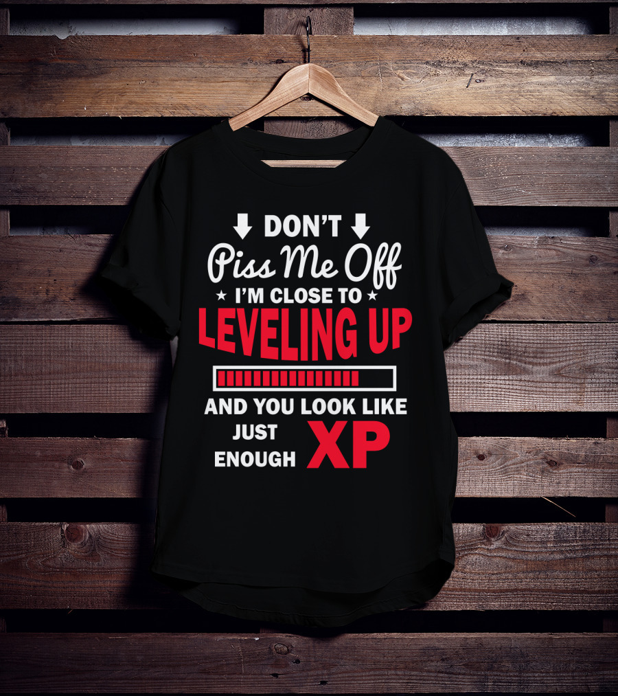 DON'T Piss Me Off I'm Close To LEVELING UP You Look Like Just Enough XP T-Shirt