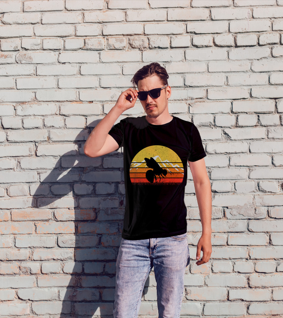 Retro Vintage Bee Sunburst With Mountain T-Shirt
