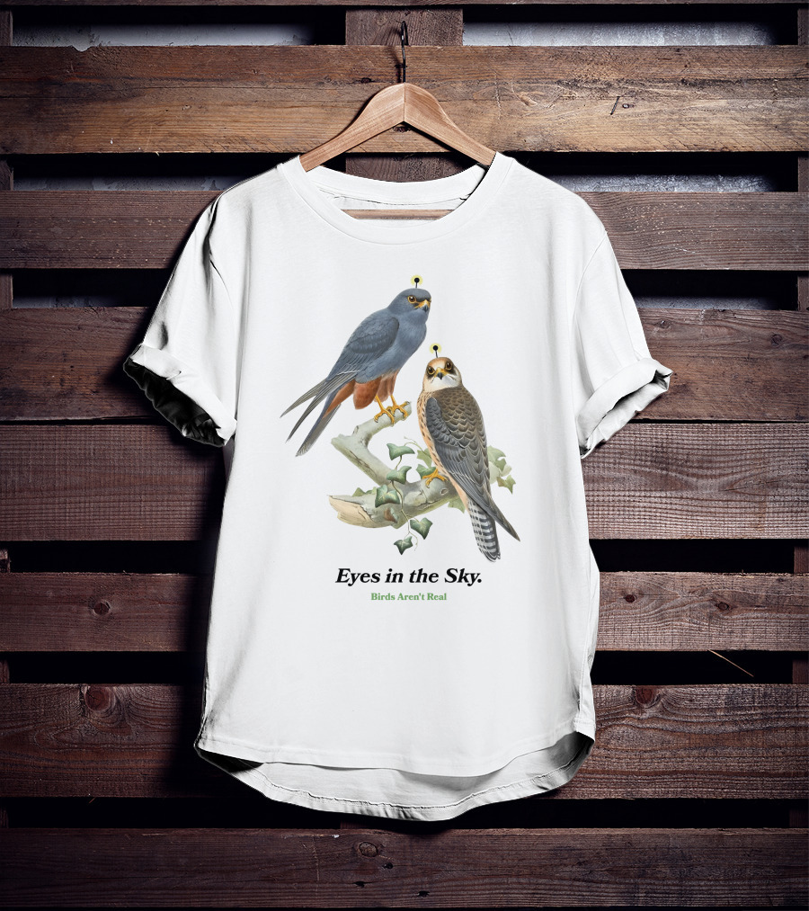 Eyes In The Sky Birds Aren't Real T-Shirt