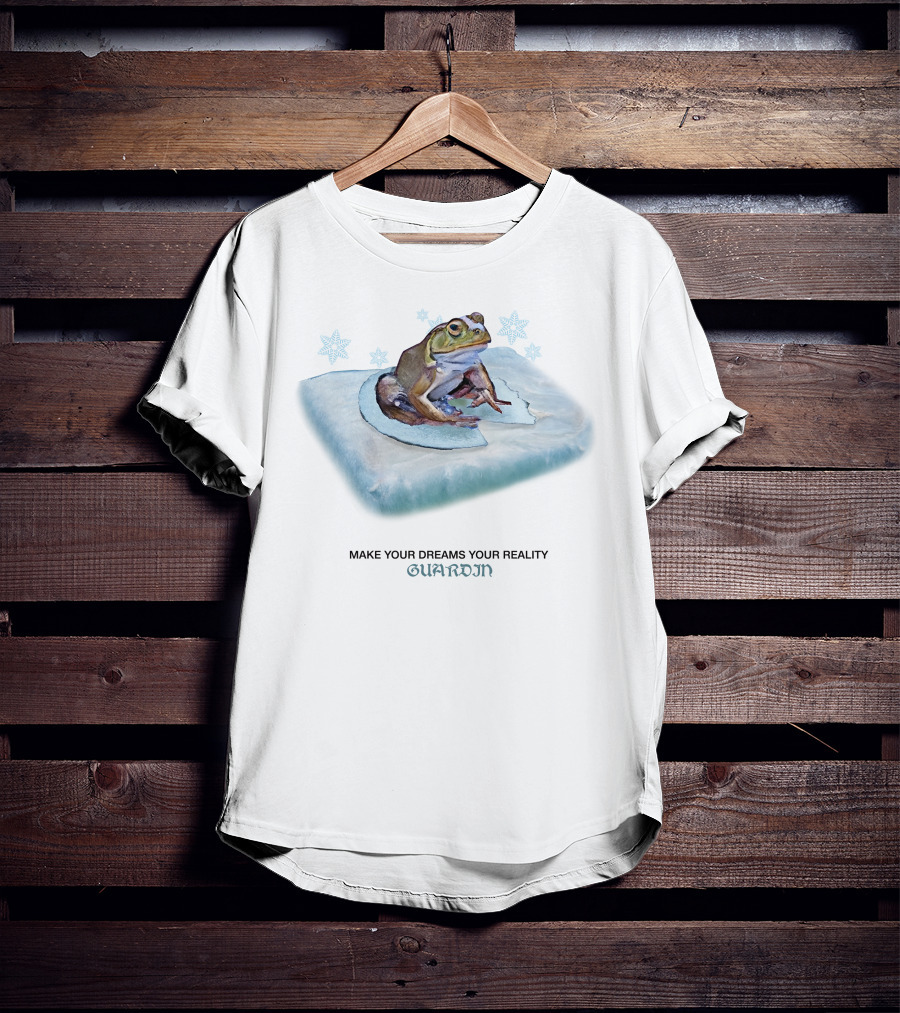 Frog Make Your Dreams Your Reality Guardin Snowflakes Pillow T-Shirt