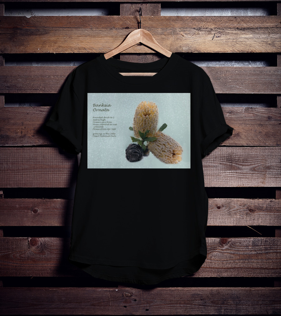 Banksia Ornata Rounded Shrubs Little Desert National Park Flowers T-Shirt