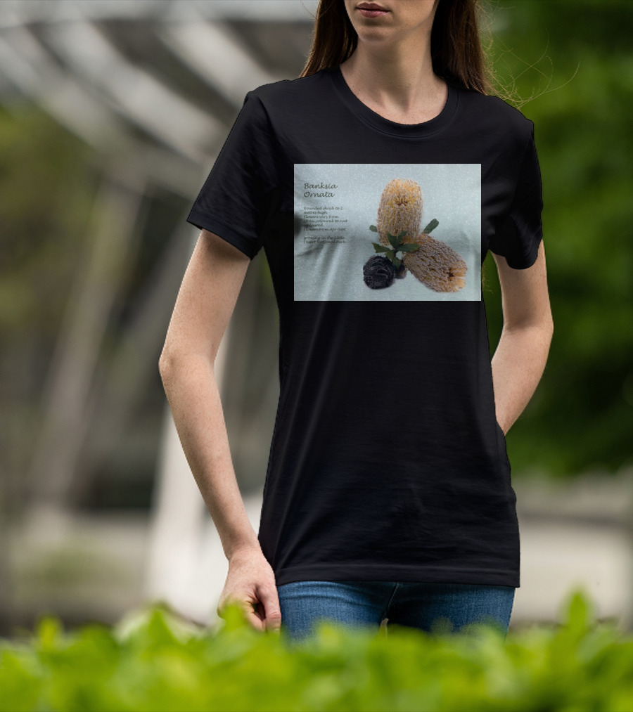 Banksia Ornata Rounded Shrubs Little Desert National Park Flowers T-Shirt