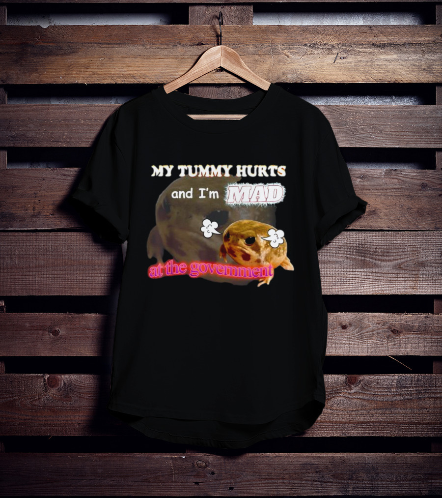 My Tummy Hurts And I'm MAD At The Government Frog Meme T-Shirt