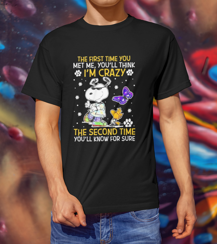 Snoopy And Woodstock The First Time You Met Me You'll Think I'm Crazy The Second Time You'll Know For Sure T-Shirt