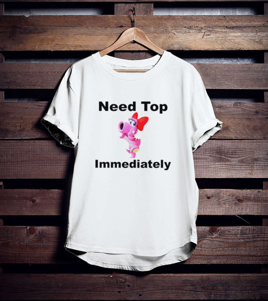 Need Top Immediately Birdo Character With Red Bow T-Shirt
