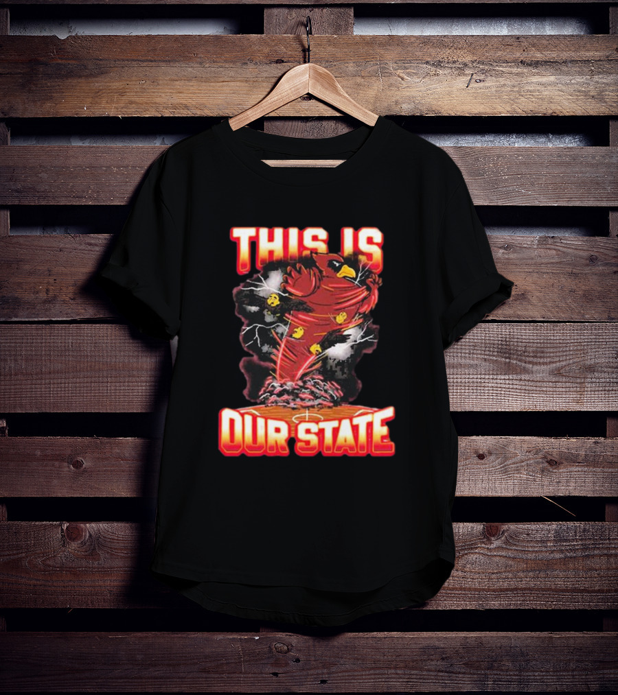 THIS IS OUR STATE Arizona Cardinals Official NFL Team Gear T-Shirt