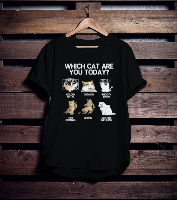 Which Cat Are You Today Golden Ratio Cromch Smooth Brain Tiny Criminal Chonk Violent Impulses T-Shirt