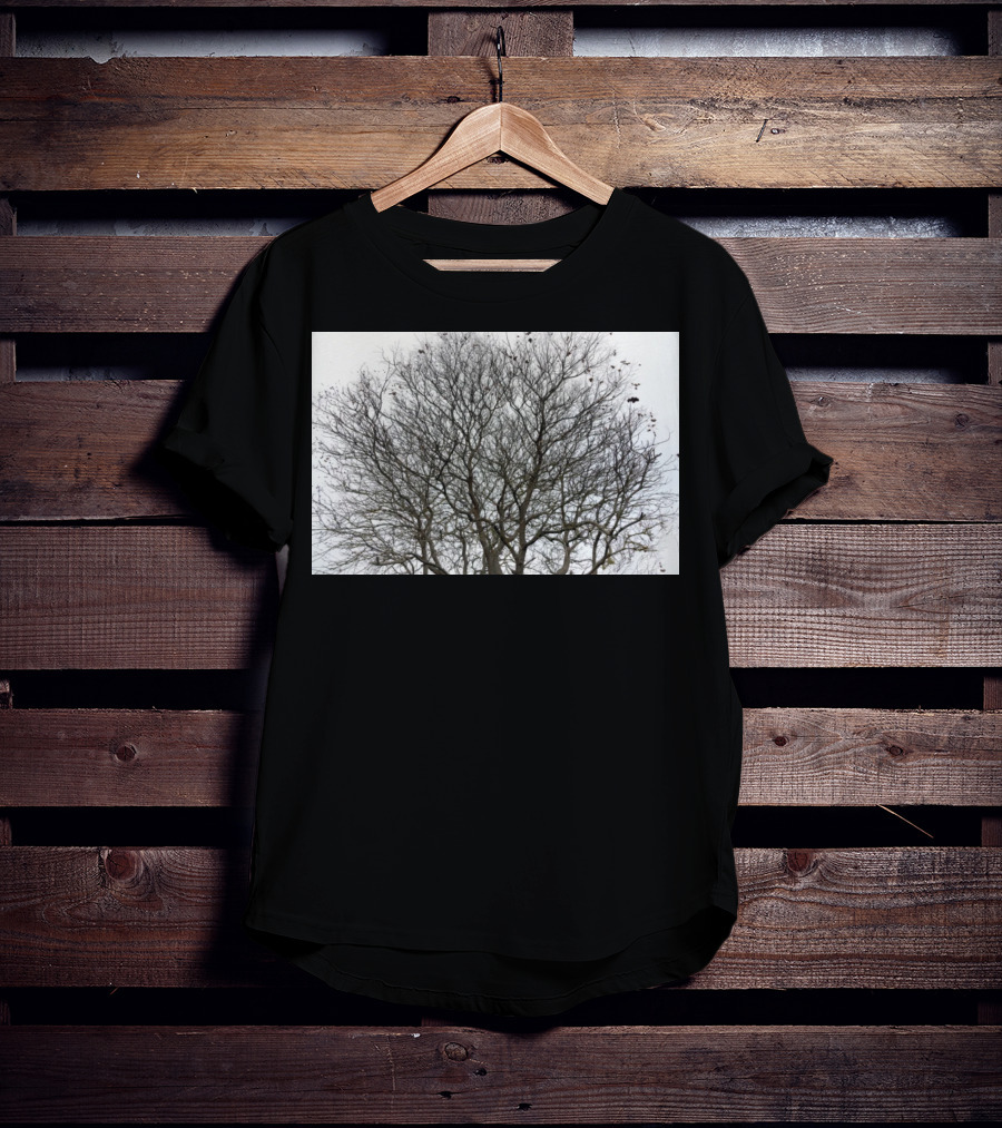 Winters Tracery Bare Tree Branches In Overcast Grey Sky T-Shirt