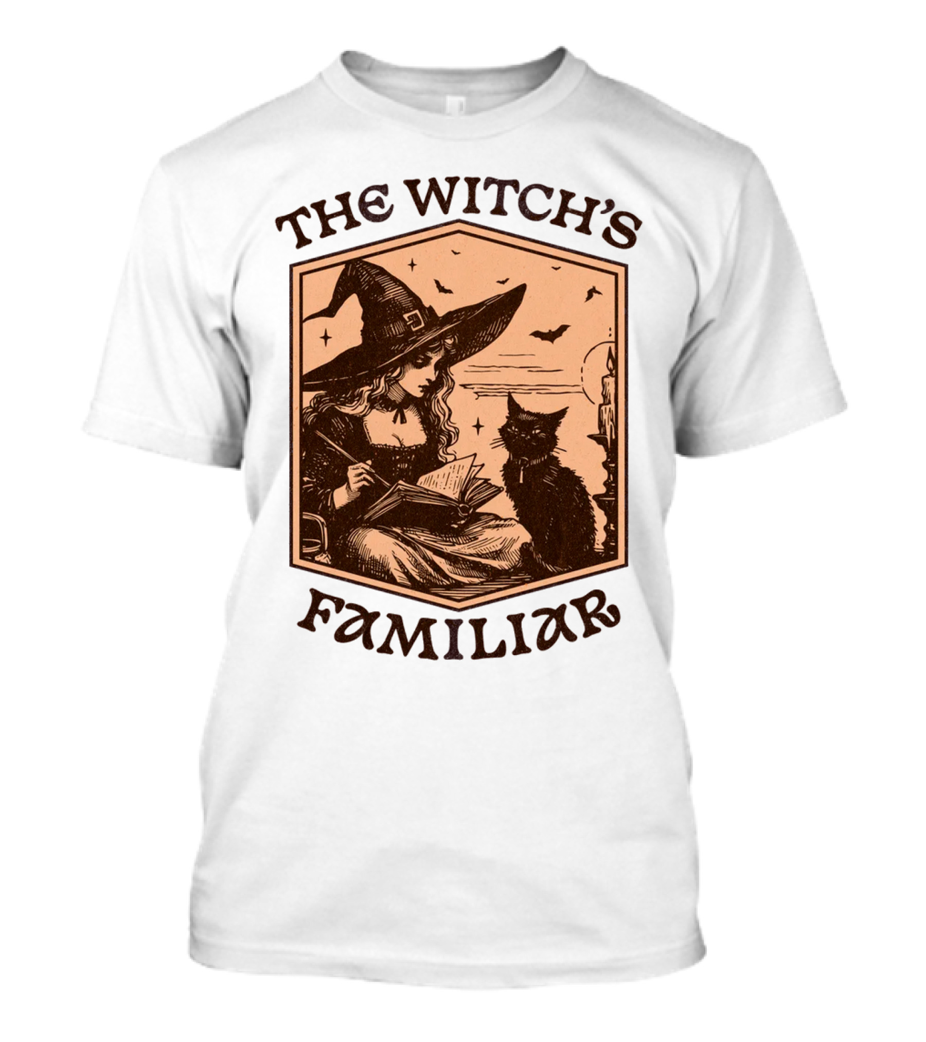 The Witch's Familiar Halloween Vintage Witch And Cat T-Shirt