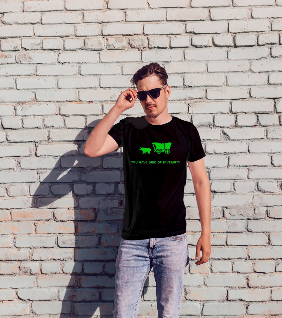 You Have Died Of Diversity Oregon Trail Pixel T-Shirt