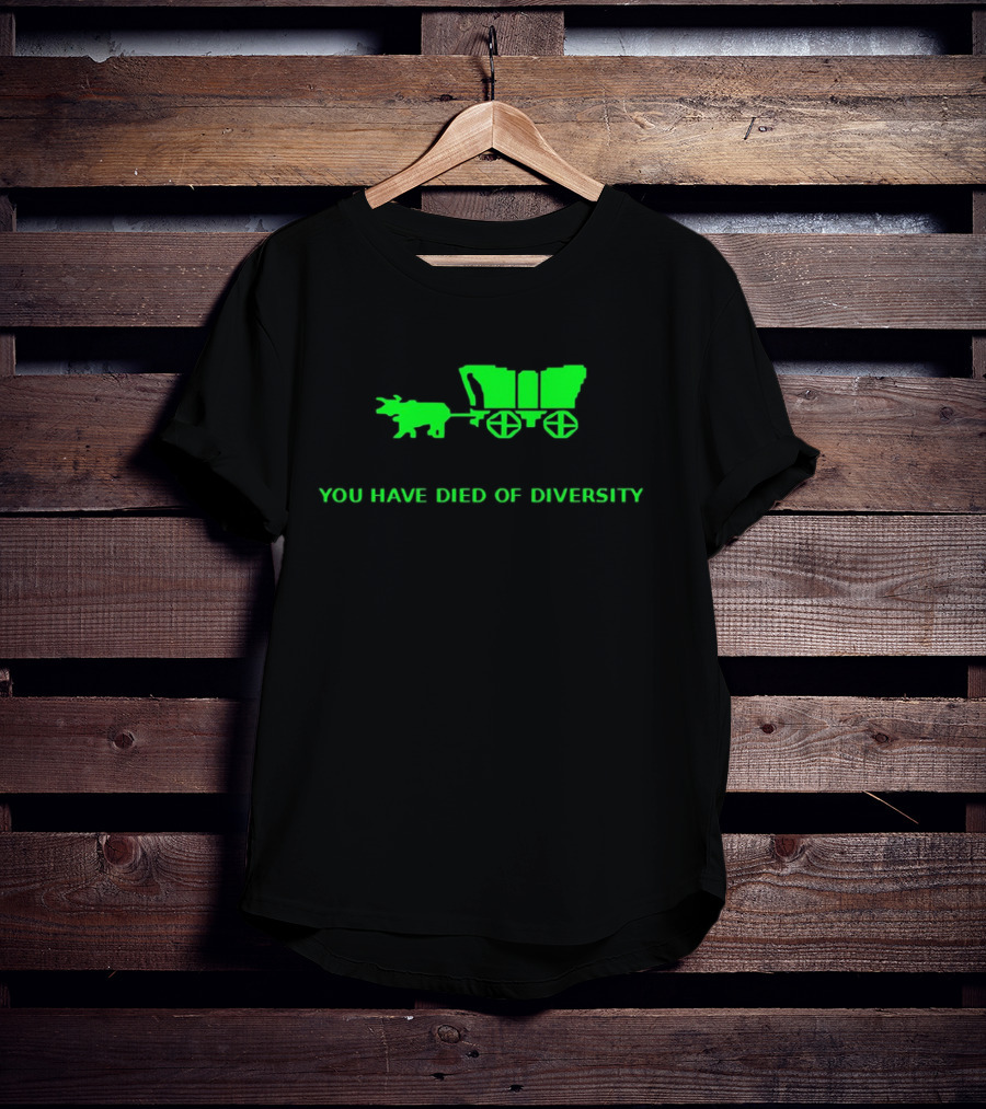 You Have Died Of Diversity Oregon Trail Pixel T-Shirt