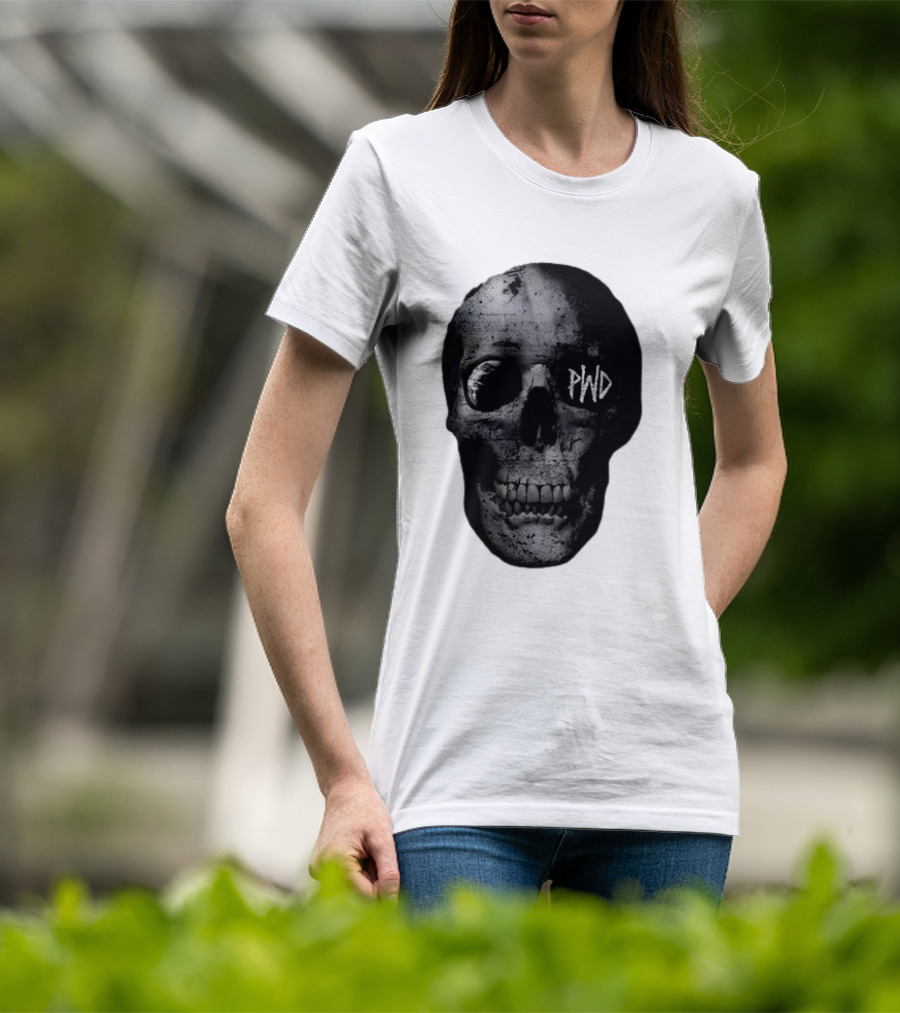 PWD Parkway Drive Dark Days 2012 Atlas Skull Image T-Shirt