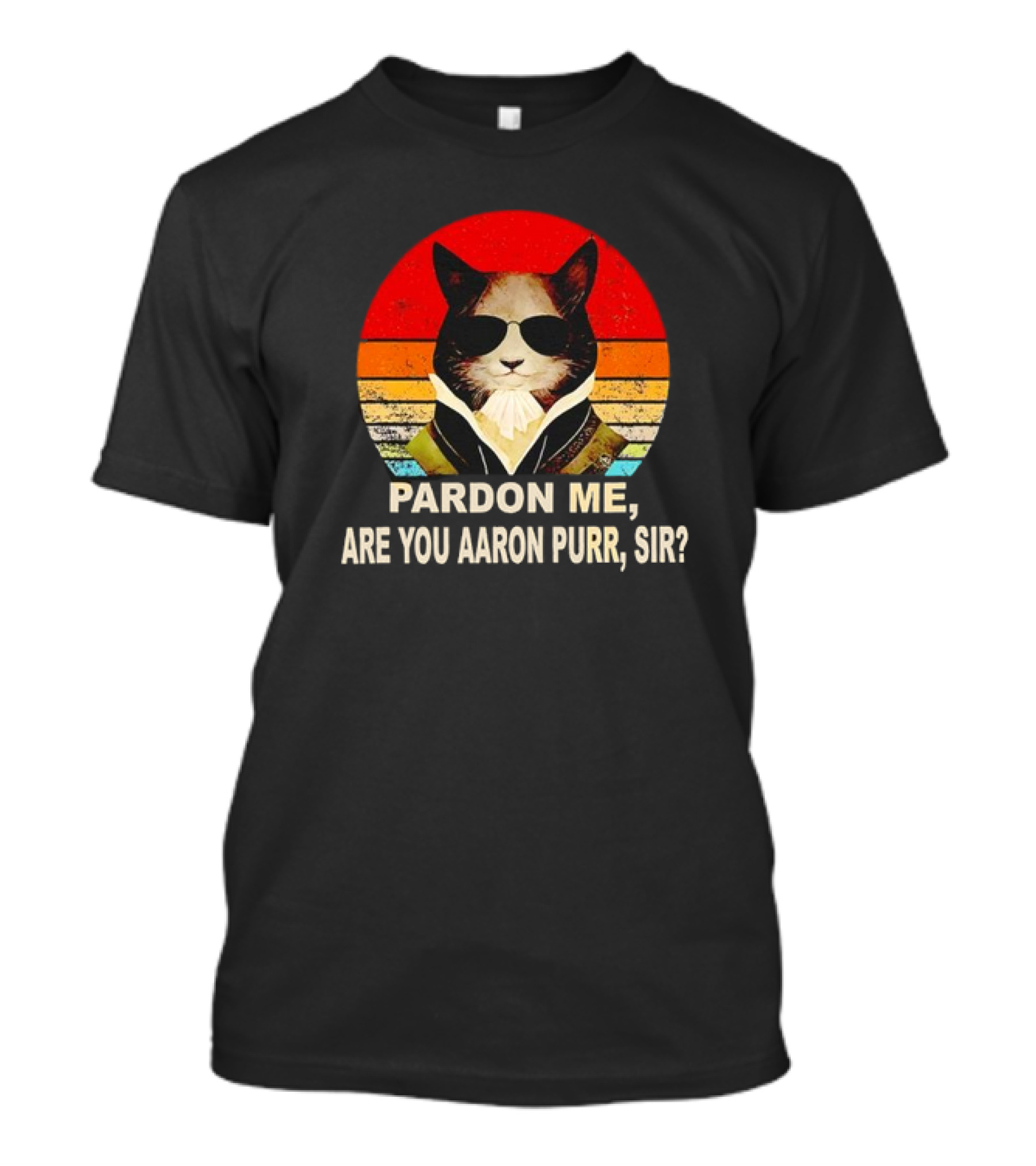 Pardon Me Are You Aaron Purr Sir Alexander Hamilton Cat Retro T-Shirt