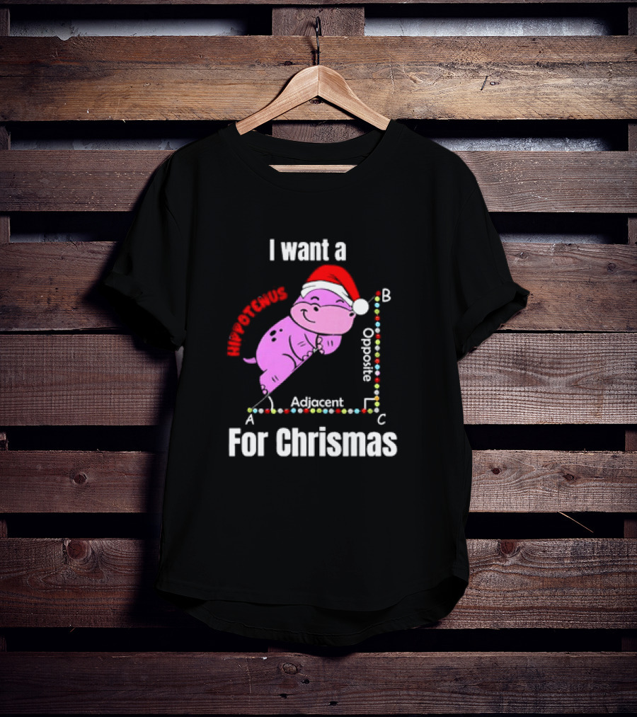 I Want A Hippotenuse ABC Adjacent Opposite For Christmas Cute Hippo T-Shirt