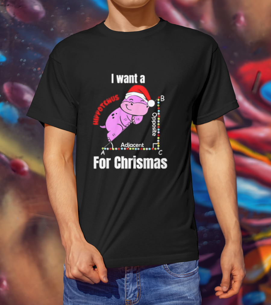 I Want A Hippotenuse ABC Adjacent Opposite For Christmas Cute Hippo T-Shirt