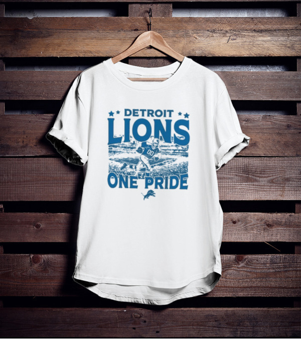 Detroit Lions One Pride Vintage Stadium Gameday T-Shirt